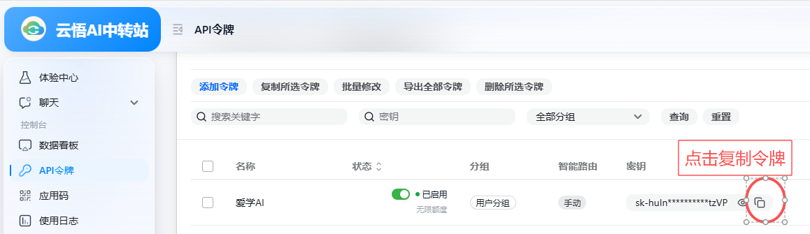 API 令牌列表右侧复制令牌按钮